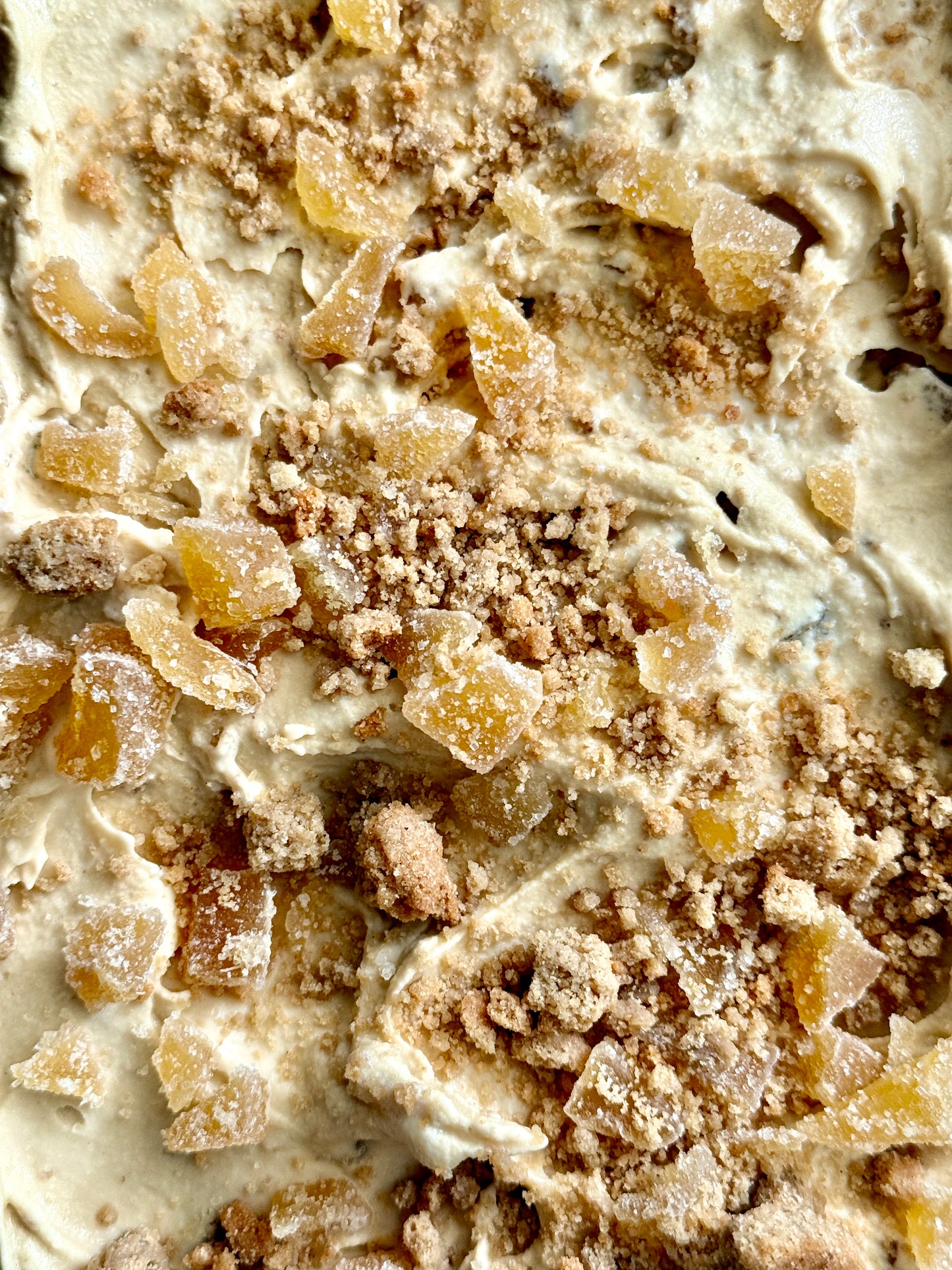 Ginger Molasses Cookie / non dairy