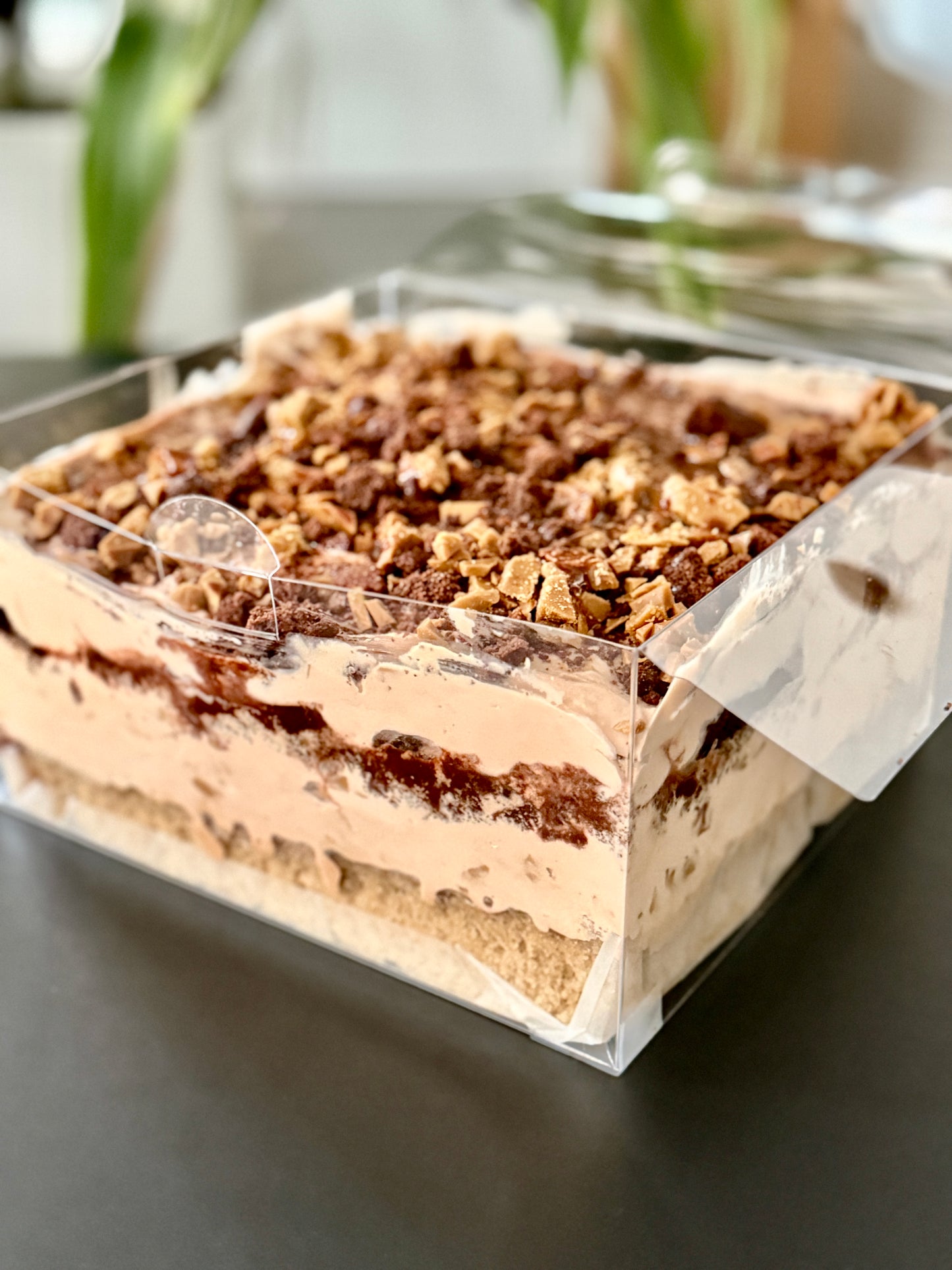 Ice-cream Trifle Cake: Salted Chocolate Toffee: dairy