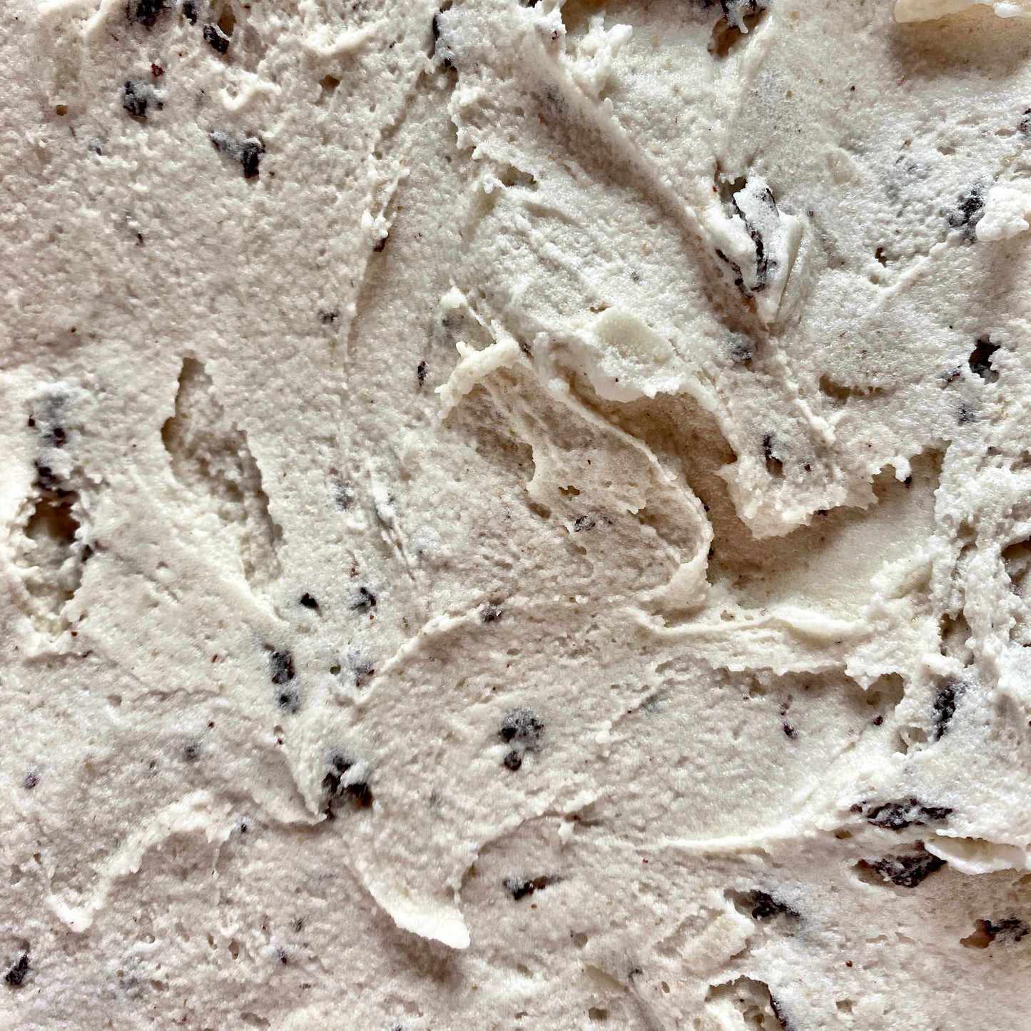 Fresh Mint Chip / non dairy