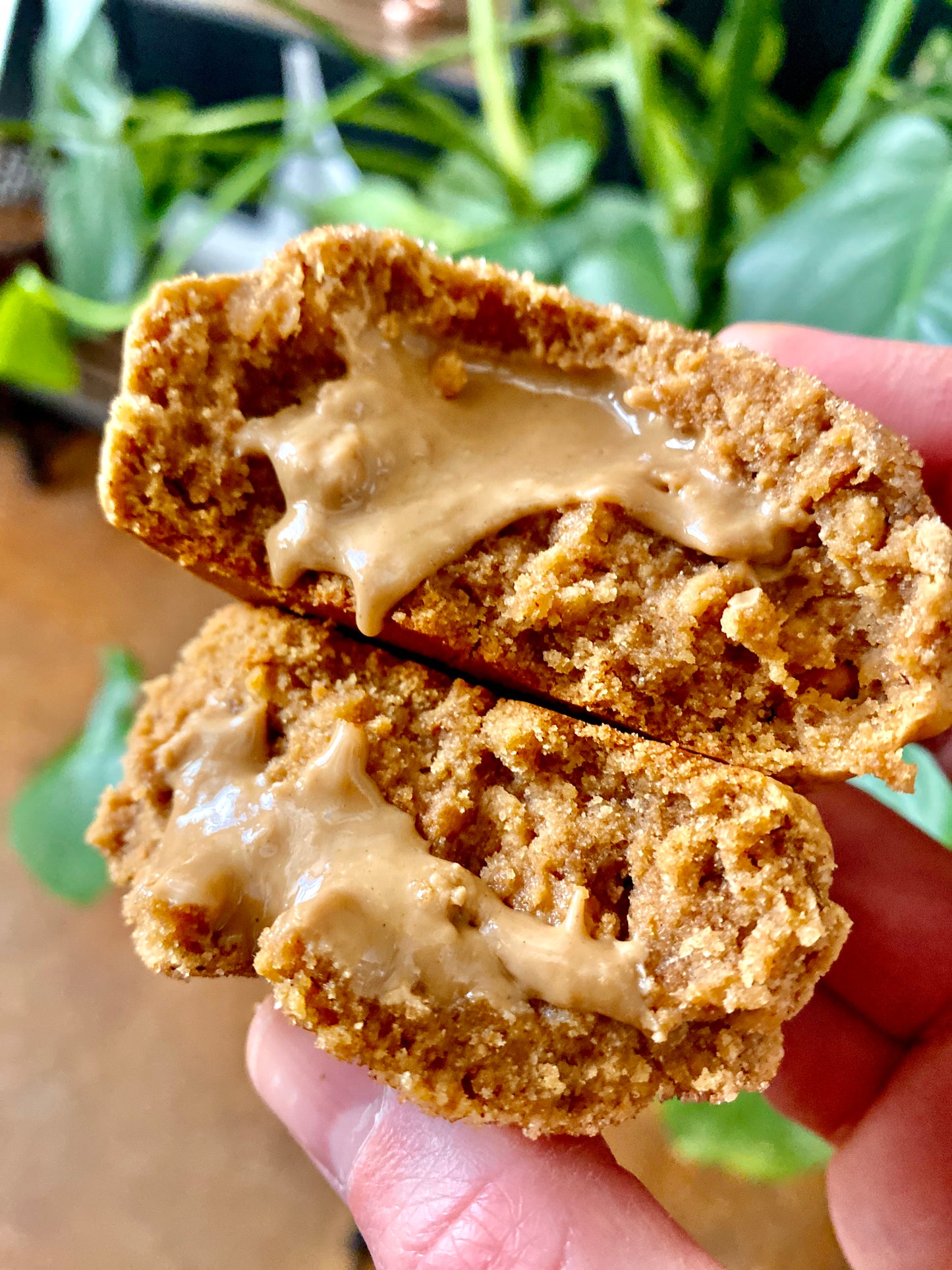 Snickerdoodle / non dairy