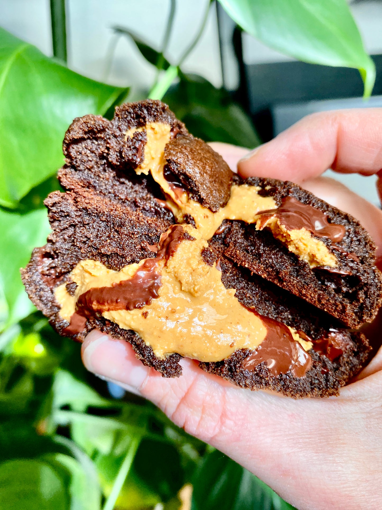 Chocolate Peanut Butter/ non dairy